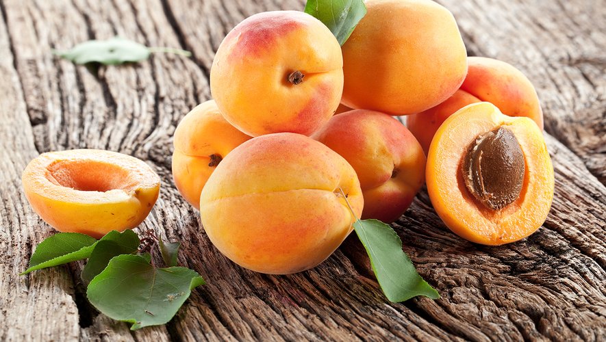 Cette semaine, le prix de l'abricot baisse de 21%.
