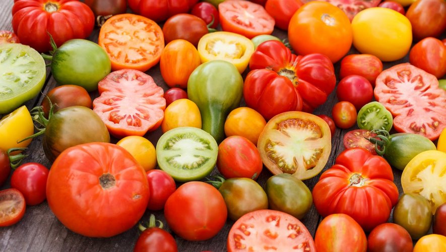Menus-Santé : la tomate, plaisir fraîcheur de l’été !