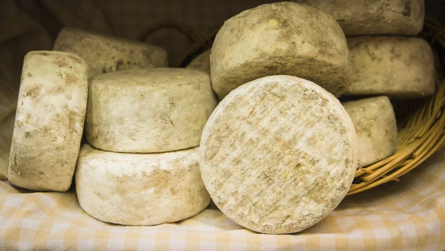 Des fromages ont été retiré de la vente en raison de la présence possible de la bactérie Listeria. (illustration)