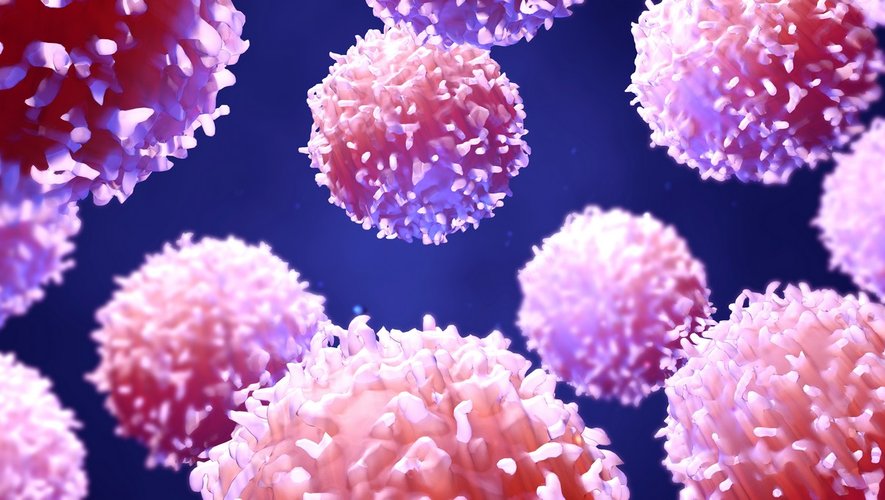 VIH et cancer : l’efficacité de l’immunothérapie