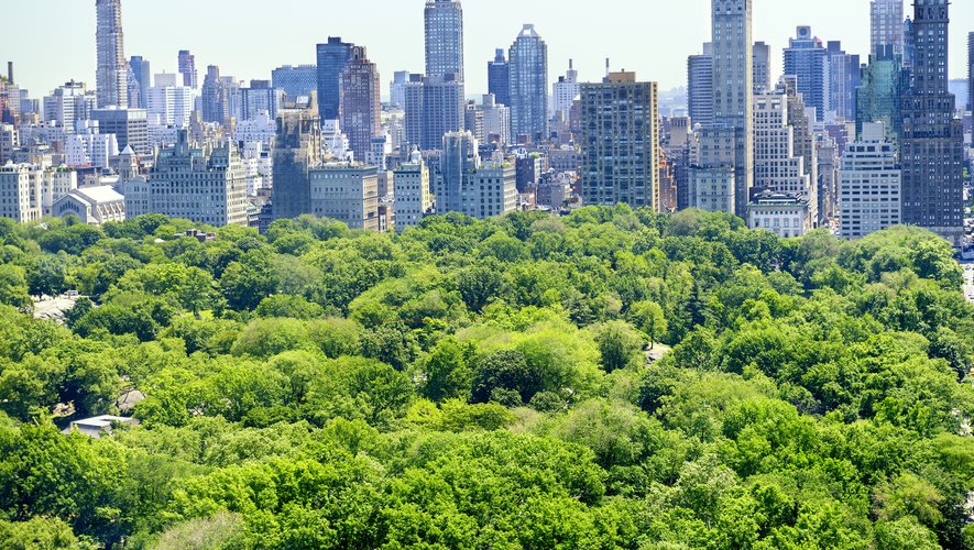 Une simple promenade dans un jardin public (ici Central Park à New York) pourrait améliorer l'humeur de tout-un-chacun.