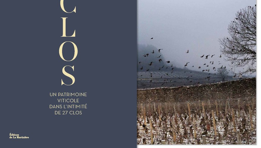 "Clos", Benjamin Darreau, Philippe Toinard, Thibaut Voisin, éditions de la Martinière, 150 euros (sous coffret), parution le 7 novembreMets & Vins
