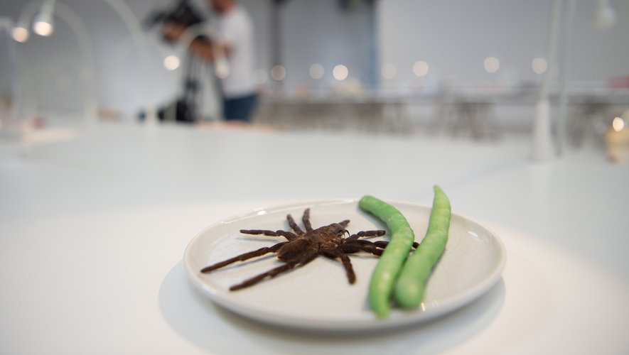 L'exposition "Disgusting Food Museum" sera de passage à Nantes du 25 septembre au 3 novembre