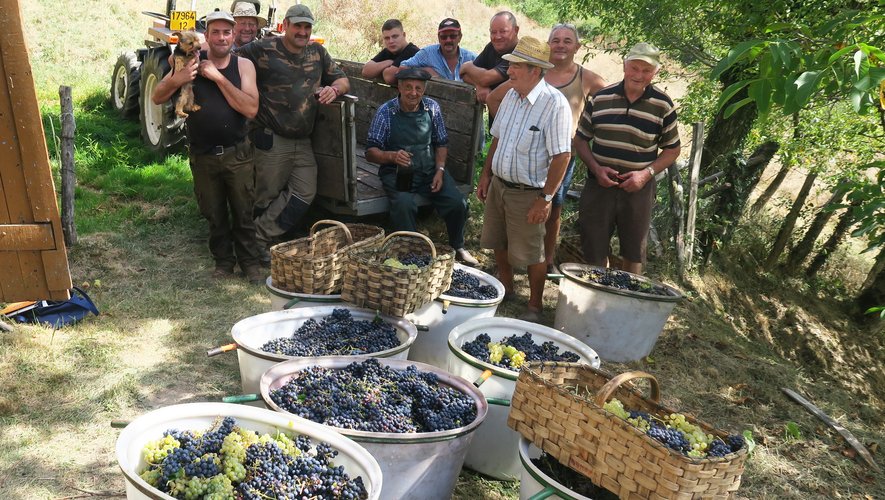 Les Coustoubis maintiennent  la tradition viticole en Viadène