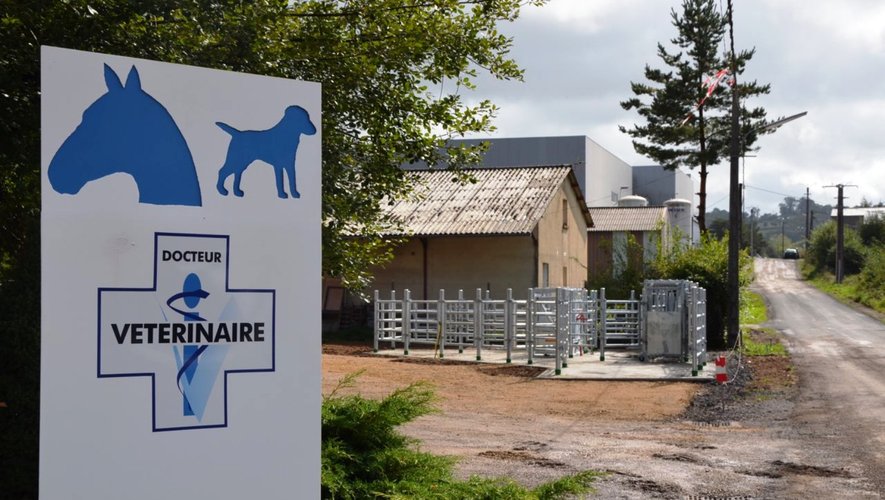 Le nouveau parc de contentionde la clinique vétérinaire complètele dispositif d’accueil déjà en place.