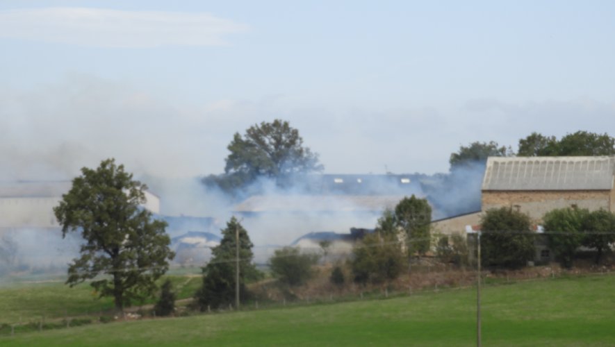 Le feu s'est déclaré sur la commune de La Selve. 