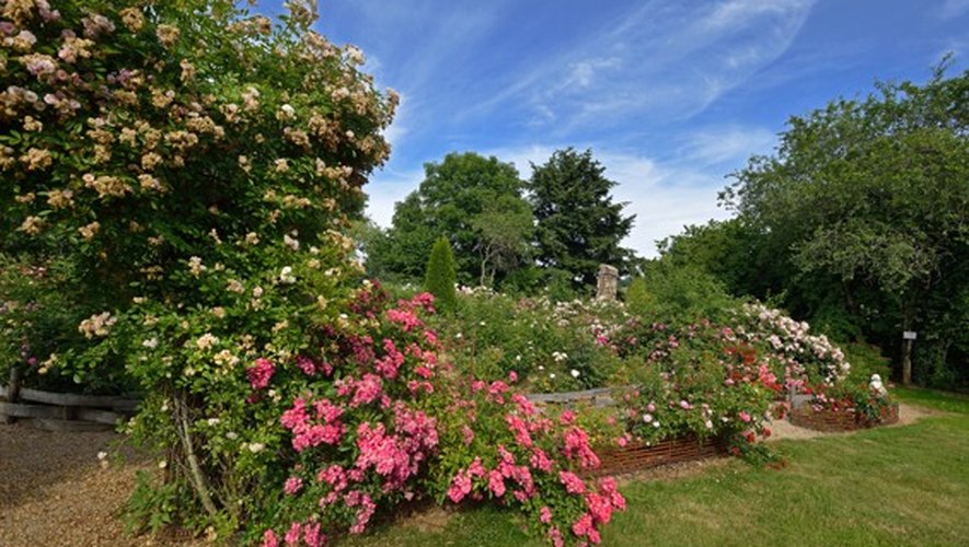 La roseraie figure parmi les beautés à voir pour agrémenter la journée.
