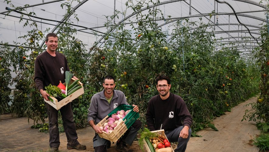 Depuis quelques jours, les trois amis peuvent fournir des cageotsde légumes variés.