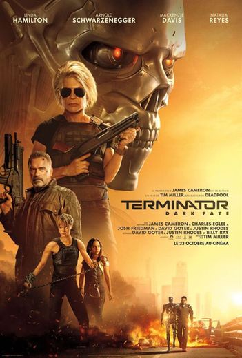 "Terminator: Dark Fate" de Tim Miller réunit de nouveau Arnold Schwarzenegger et Linda Hamilton dans la mythique saga.