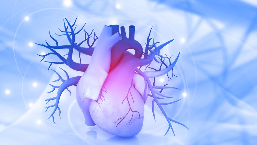Arrêt cardiaque : refroidir le corps pour limiter les séquelles