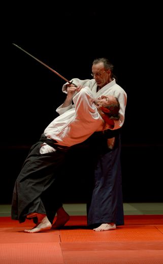L'aikido est un art martial. 