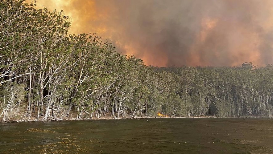 A l'heure où les incendies ravagent l'Australie, y a-t-il un futur pour le vivant ?