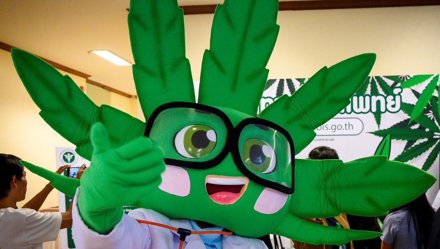 La Thaïlande a légalisé en décembre 2018 l'usage du cannabis médical et non récréatif.