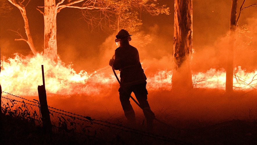 Capri Holdings Limited a fait un don pour venir en aide aux Australiens touchés par les incendies.