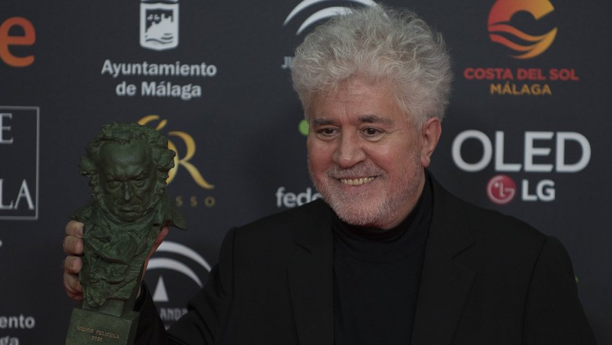 Le film "Douleur et gloire" de Pedro Almodovar a raflé sept prix Goya.