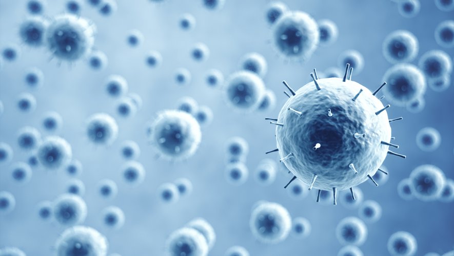 Un quatrième cas de contamination par le nouveau coronavirus a été détecté en France.