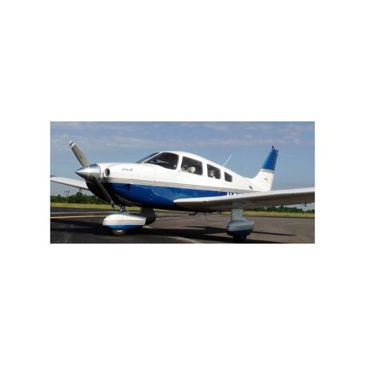 C'est un avion de type Piper PA 28 qui s'est écrasé.