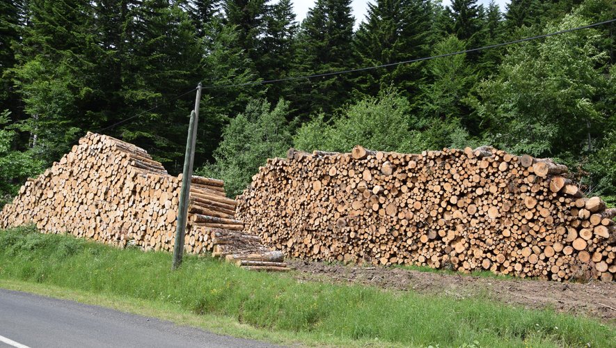 Le bois reste sous-exploité.