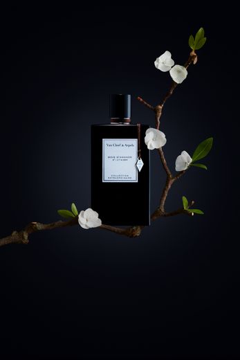 L'eau de parfum "Bois d'Amande" de Van Cleef & Arpels.