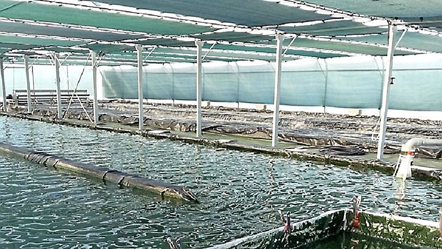 Une ferme aquacole, c’est ça…