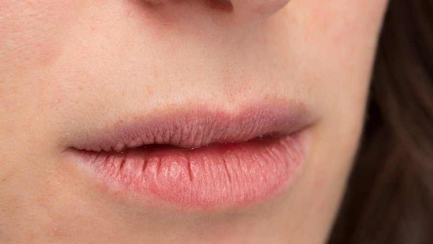 Pourquoi la lavande sèche ?