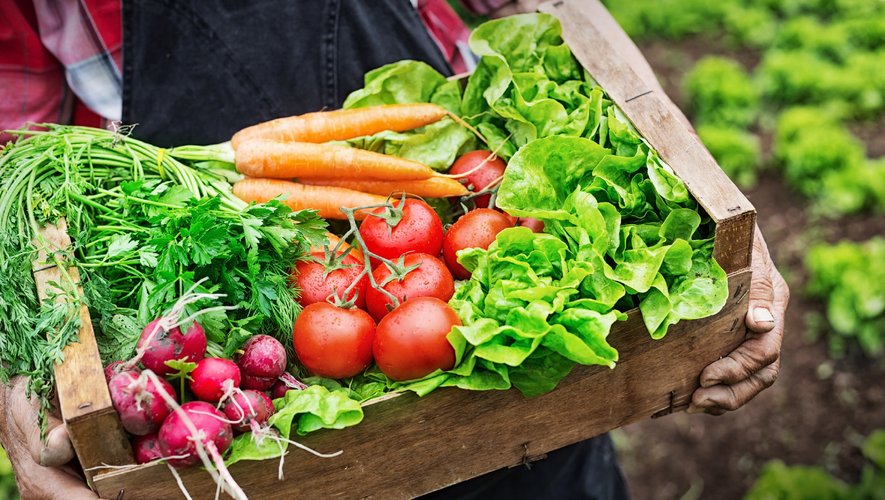 GENERIC: Légumes, vegetables, porducteur, producer, alimentation, food