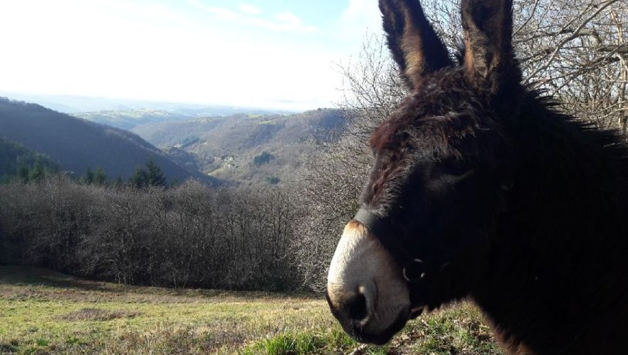 Des paysages à perte de vue.