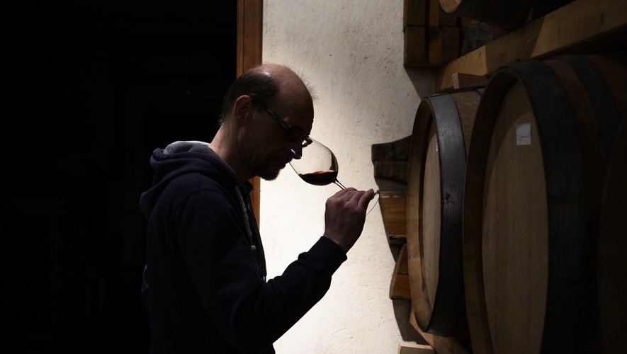 Du prosecco au chianti, les producteurs de vin italien subissent de plein fouet l'épidémie de coronavirus avec une nette chute des ventes.