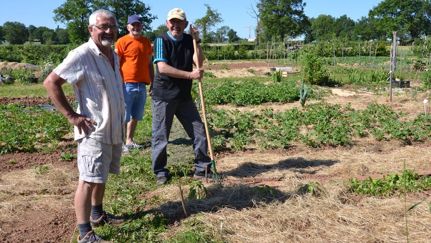 Bernard, Francis et Daniel : le plaisir de faire pousser ses légumes...  et de se retrouver.