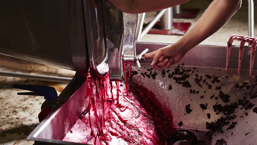 A partir de vendredi, les viticulteurs vont commencer à distiller quelque 2 millions d'hectolitres de vins non vendus afin de fabriquer du bioéthanol ou du gel hydroalcoolique