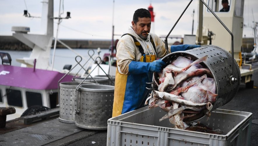 Avec la fermeture des restaurants et des collectivités, la demande a baissé, et la valeur des pêches s'est effondrée.
