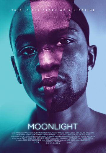 "Moonlight", de Barry Jenkins, a remporté les Oscars du meilleur film, meilleur scénario adapté et celui du meilleur acteur dans un second rôle pour Mahershala Ali.