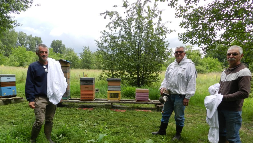 Jean-Pierre Mangé, Jacques Alet et Roland Cazes sont aux petits soins des abeilles du rucher santé.