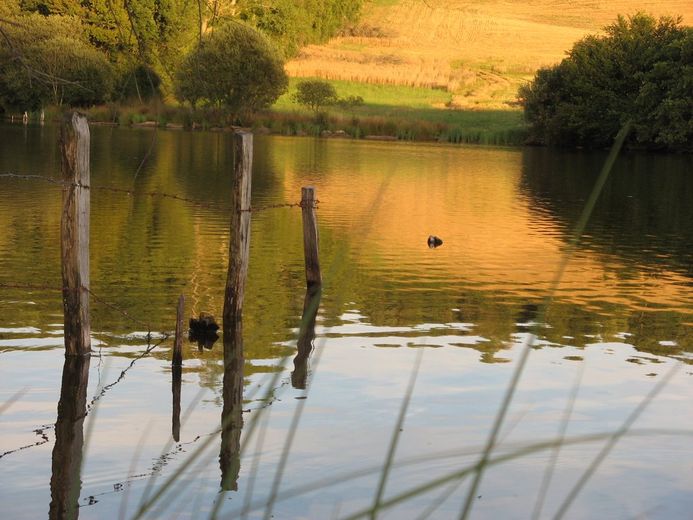 Le lac de la Gourde.