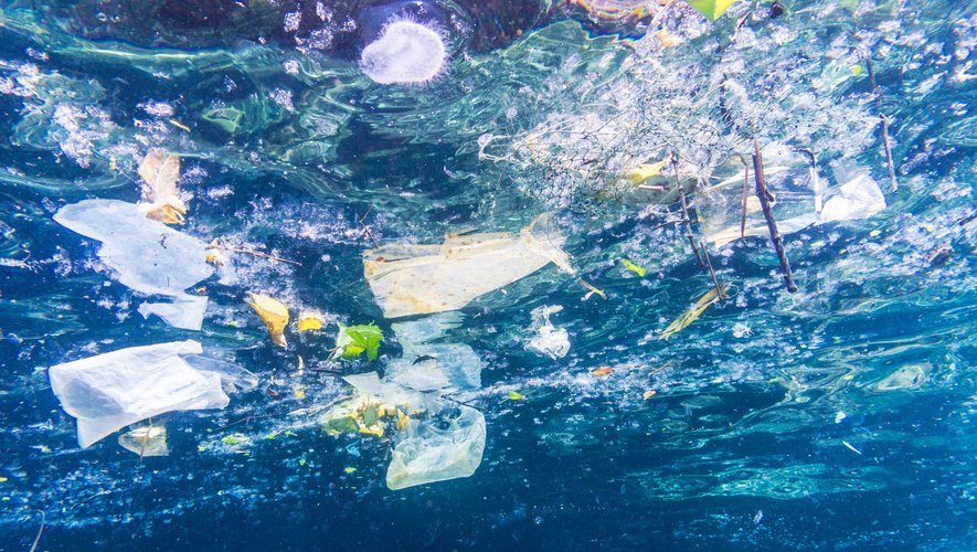 Pollution plastique, surpêche, forages pétroliers... Les activités humaines ont des conséquences désastreuses sur les océans, qui assurent pourtant 50% de notre oxygène et qui nourrissent un milliard de personnes sur la planète.