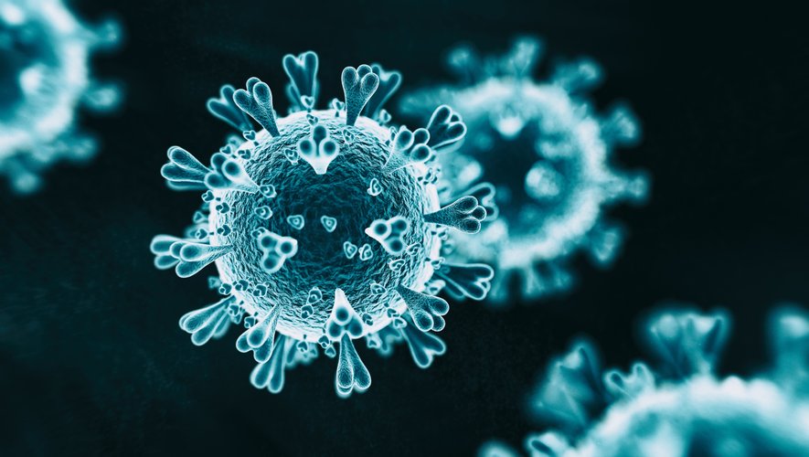 L'immunité basée sur les anticorps, acquise après avoir guéri du Covid-19, disparaîtrait la plupart du temps en quelques mois, selon une nouvelle étude