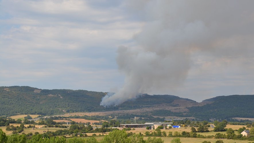 Plus de 25 hectares sont partis en fumée.