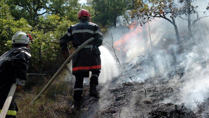 Deux départs de feu s'étaient déclarés en zone forestière.