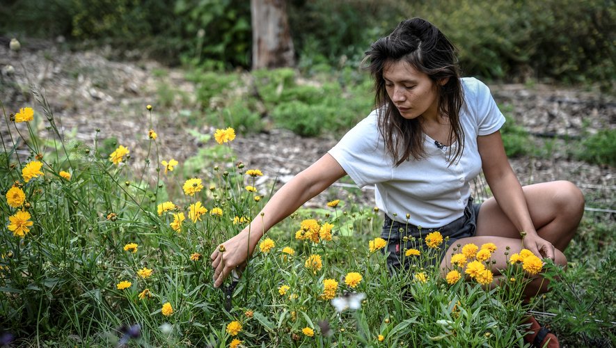Masami-Charlotte Lavault veille depuis trois ans des centaines d'espèces de fleurs derrière le cimetière de Belleville à Paris
