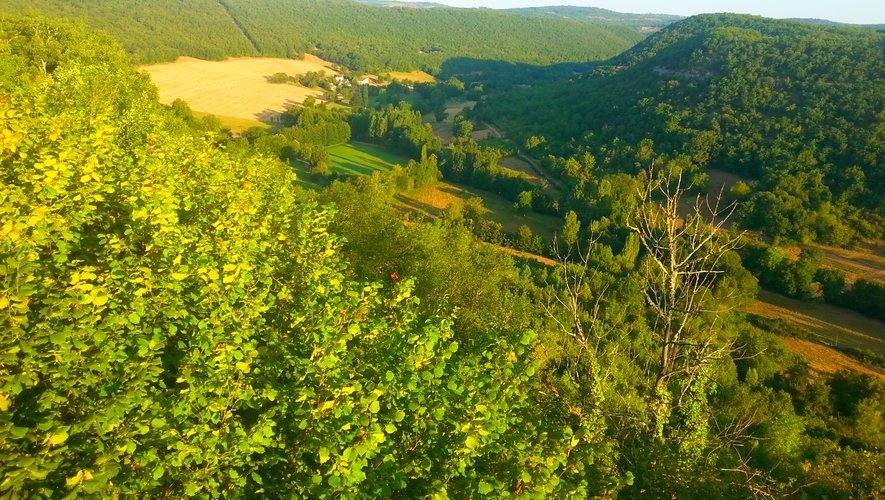 La vallée du Lot vue de Montsalès.