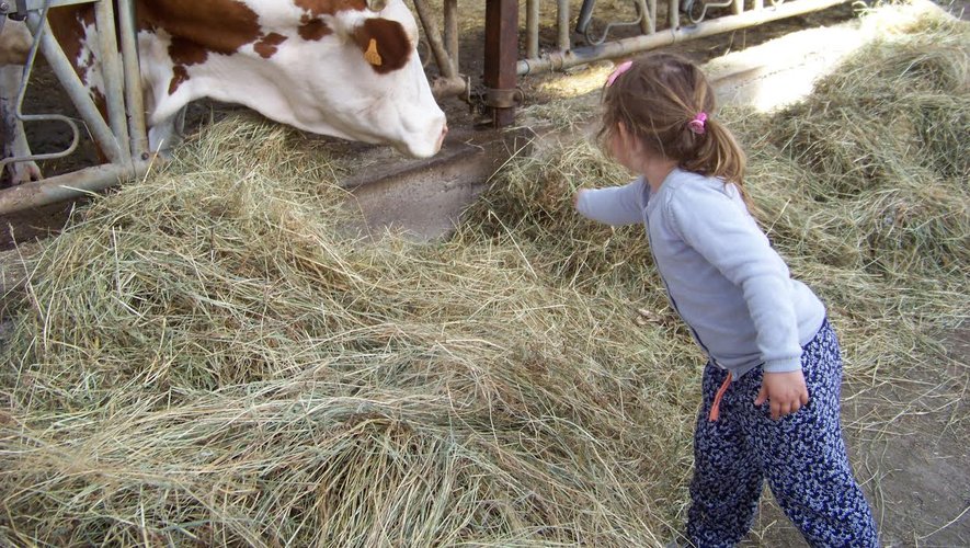 Les vacances à la ferme, une autre façon de vivre l’été.