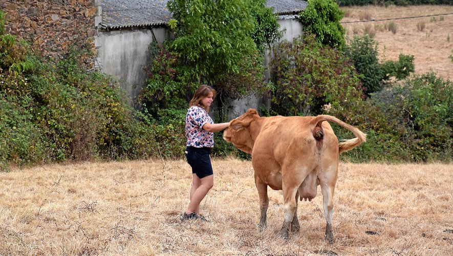 Aurélie Suard a créé sa société en avril 2018 , baptisée Au délice paysan.