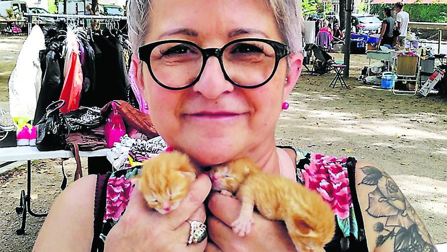 Corinne Baillon Picazo et les trois petits chatons dans les bras, entre deux tétées.