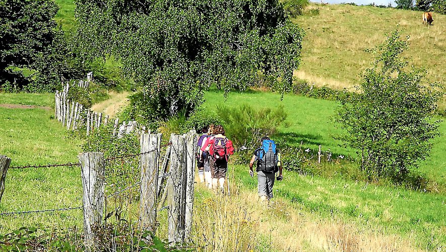 À l’image des sentiers de randonnée du plateau de l’Aubrac, l’ensemble du département de l’Aveyron a bénéficié d’une importante fréquentation estivale.