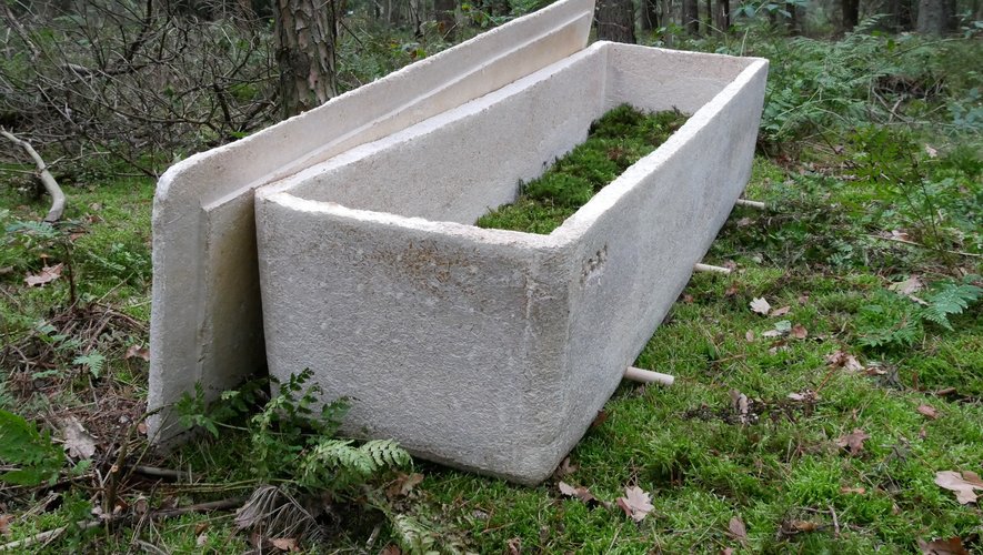 Dans ce cercueil, le commun des mortels devient du compost pour la nature et permet l'enrichissement de la terre grâce aux bienfaits du mycélium, l'appareil végétatif des champignons.