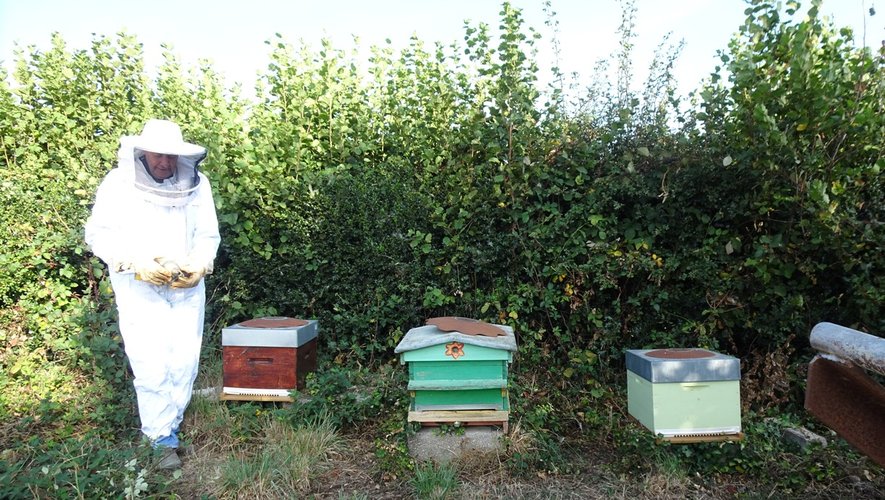 Dans sa combinaison d’apiculteur, Bernard Cluzel surveille ses ruches.