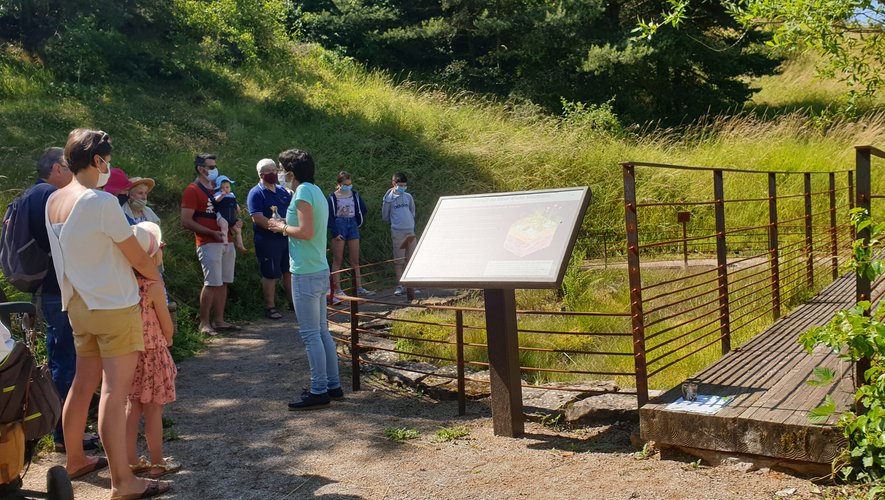 Les visiteurs peuvent découvrir de nombreuses animations au sein du parc.