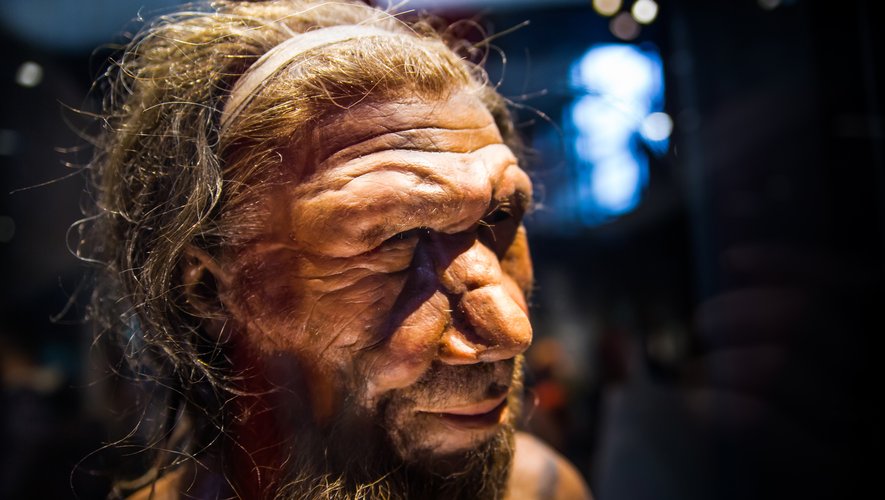 Les malades du Covid-19 portant un segment d'ADN de Neandertal, hérité d'un croisement avec le génome humain il y a quelques 60.000 ans, sont plus à risques de complications sévères de la maladie