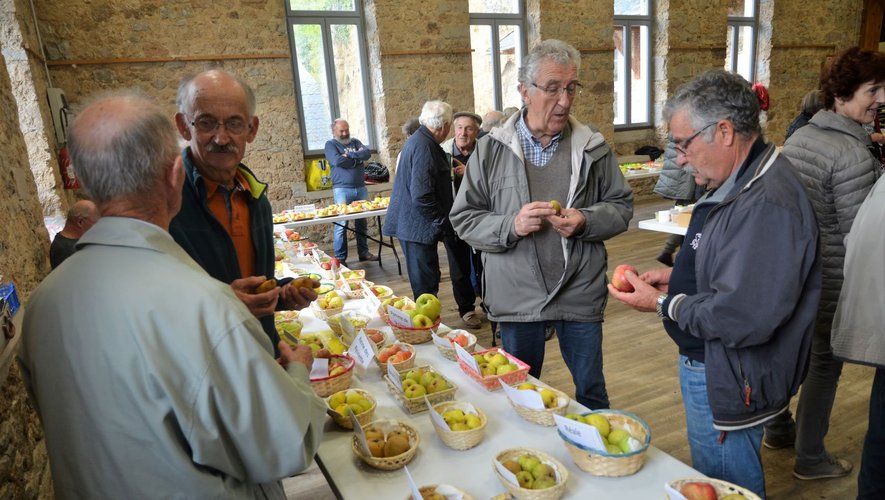 François Aigouy et Gérard André (de face sur la photo prise en 2019) les coprésidents de VL12 sont contraints d’annuler, à regrets, la traditionnelle fête des fruits d’automne.