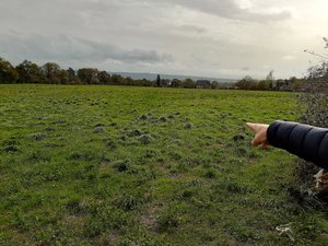 La Loubière. Le loup en slip à la salle des Épis 